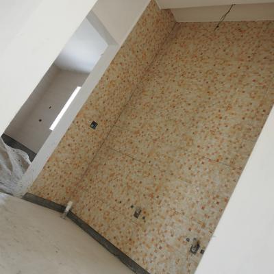 Dscn0555
