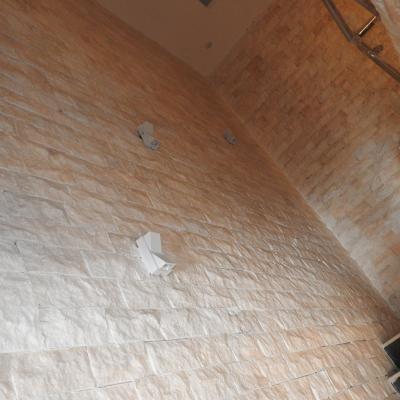 Dscn0580